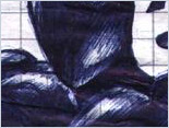 Enlarge (49 KB)